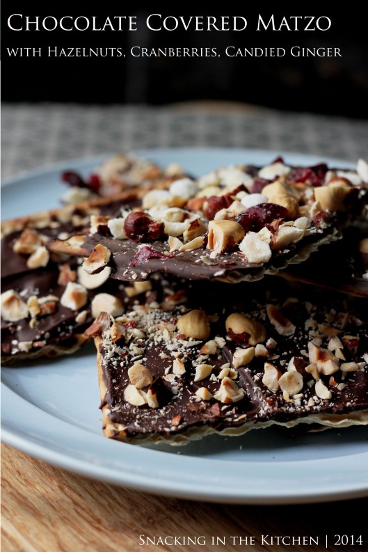 Cover Title 3 Passover Chocolate Covered Matzo with Hazelnuts, Cranberries and Ginger09