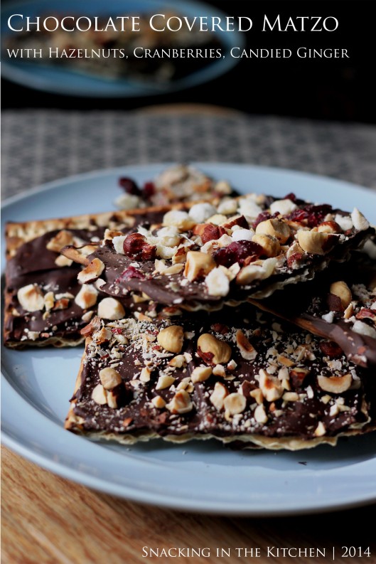 Cover Title Passover Chocolate Covered Matzo with Hazelnuts, Cranberries and Ginger09