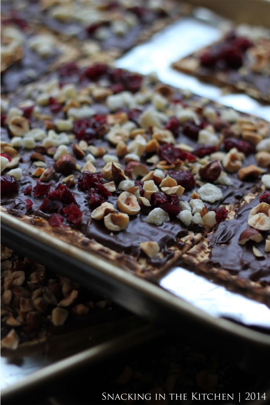 Passover Chocolate Covered Matzo with Hazelnuts, Cranberries and Ginger06